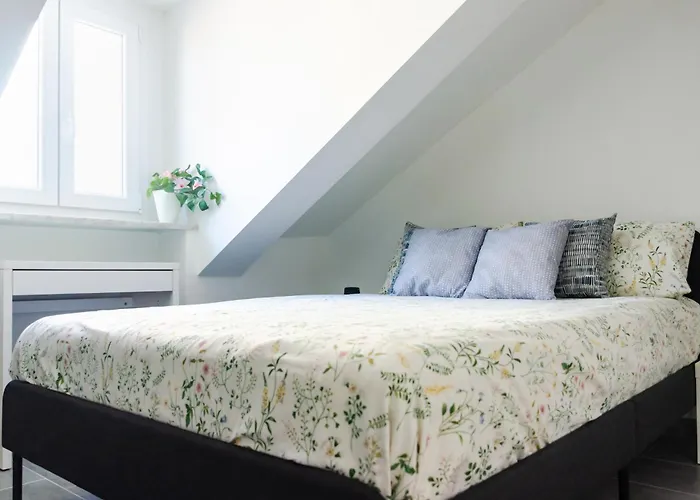 Balon View تورينو